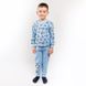Детская пижама трикотажная на мальчика «ПАНДА» голубого цвета, Голубой, 26, 2 года, 92см